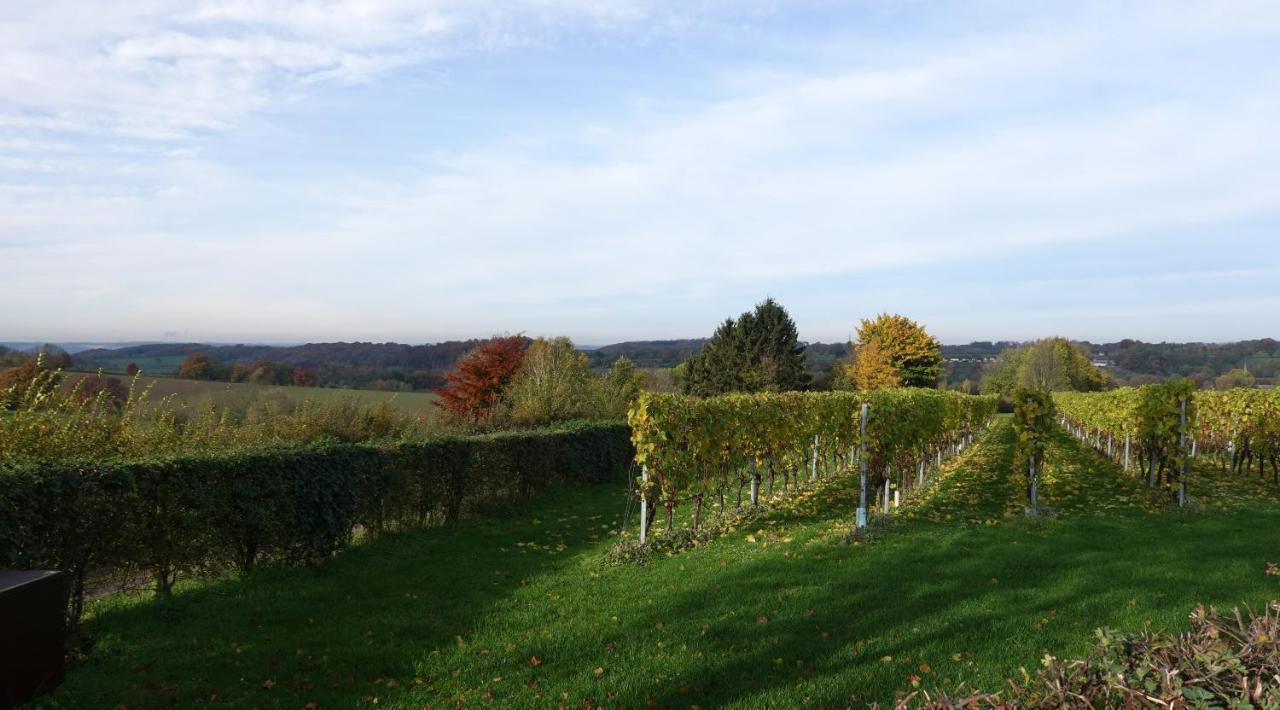 Bed & Breakfast Vroelen-noorbeek *