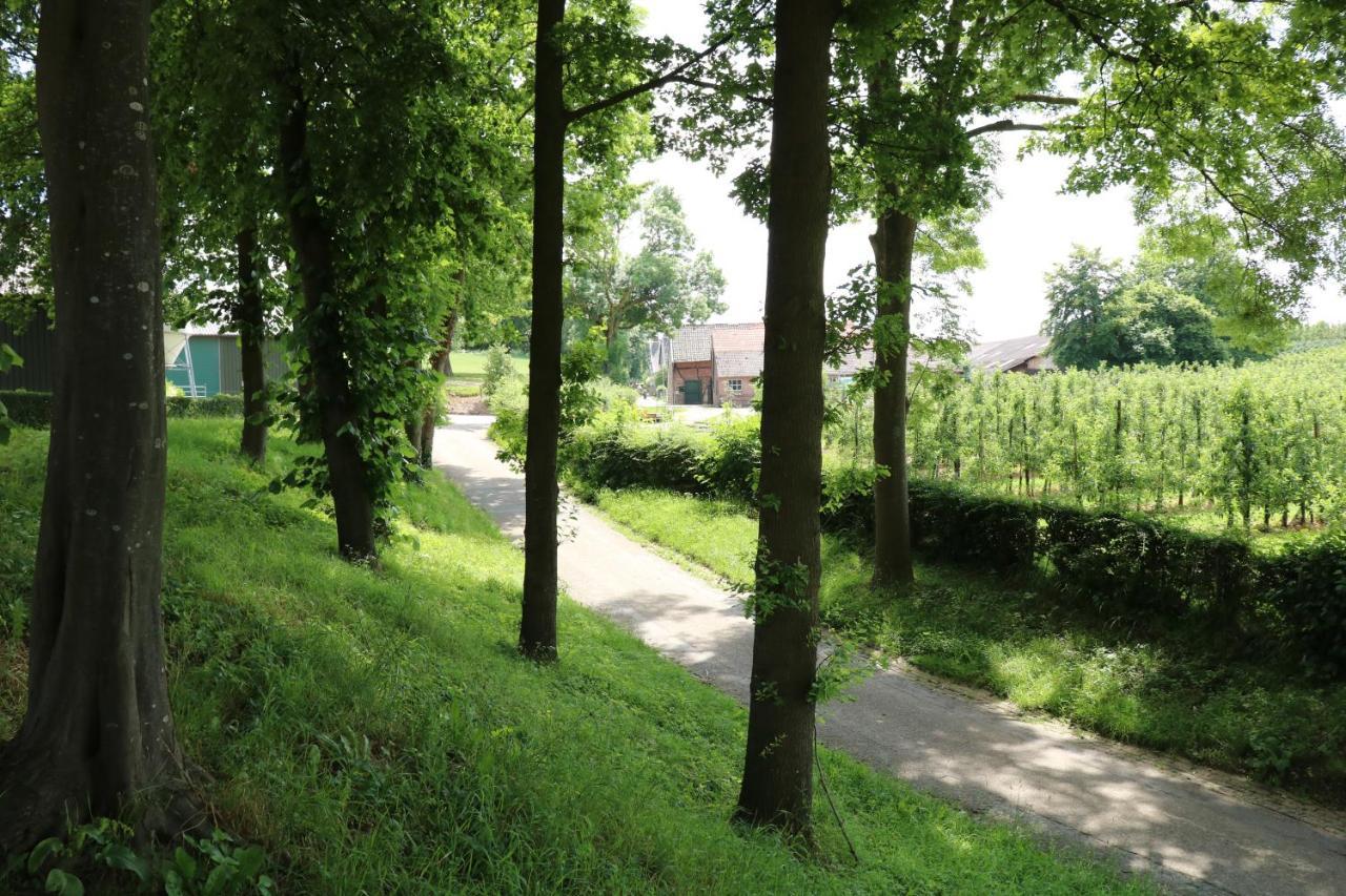 Vroelen-noorbeek Bed & Breakfast Noorbeek
